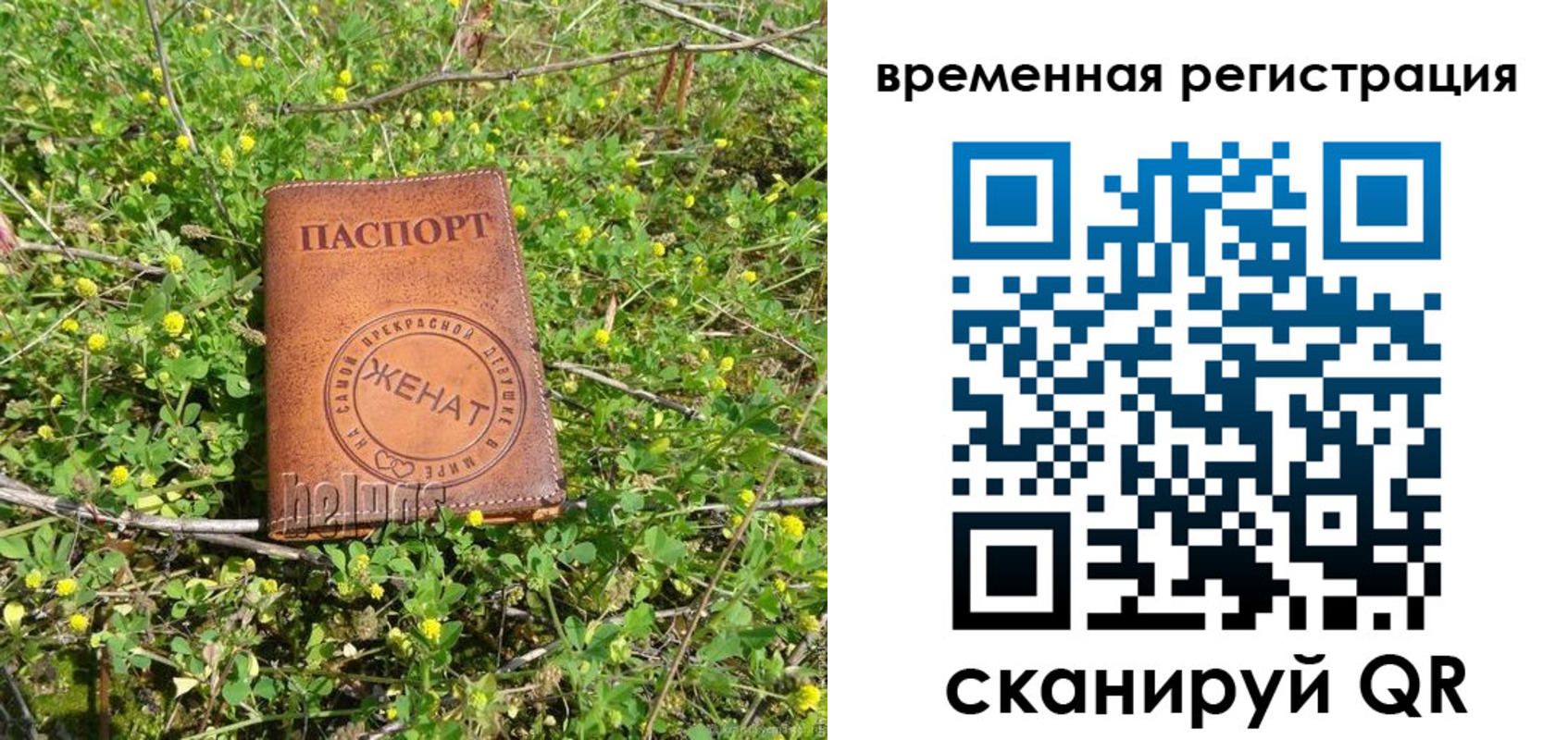 прописка регистрация в Заречном